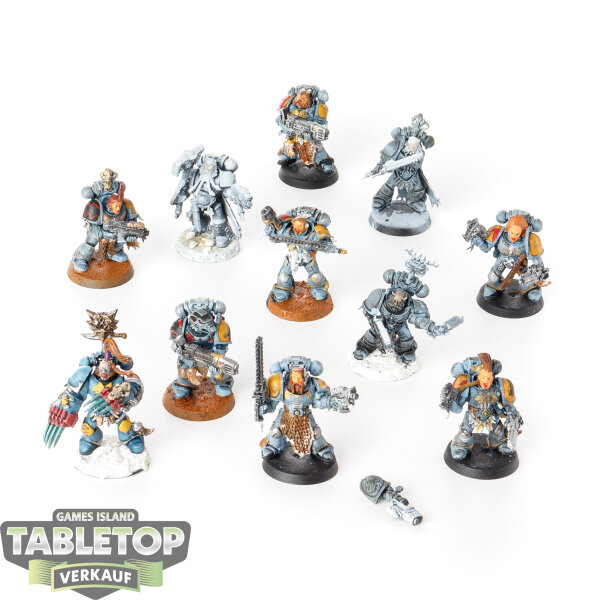 Space Wolves - 10 Grey Hunters classic - teilweise bemalt
