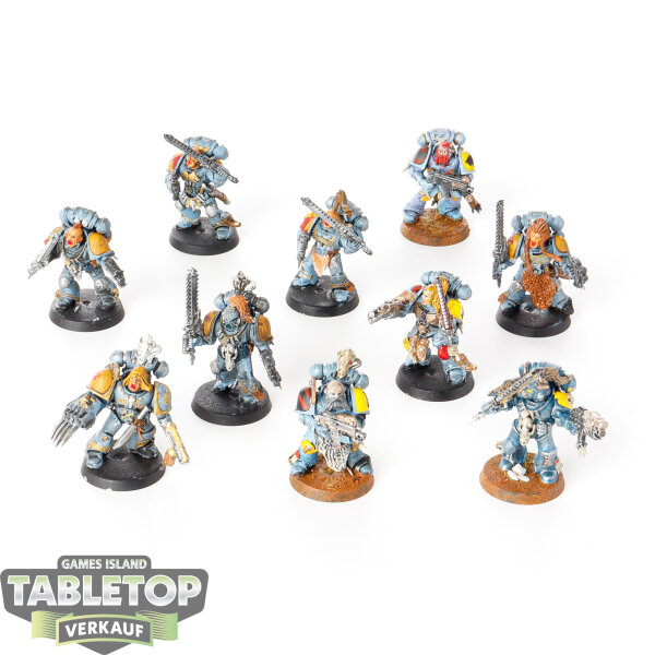 Space Wolves - 10 Grey Hunters classic - teilweise bemalt
