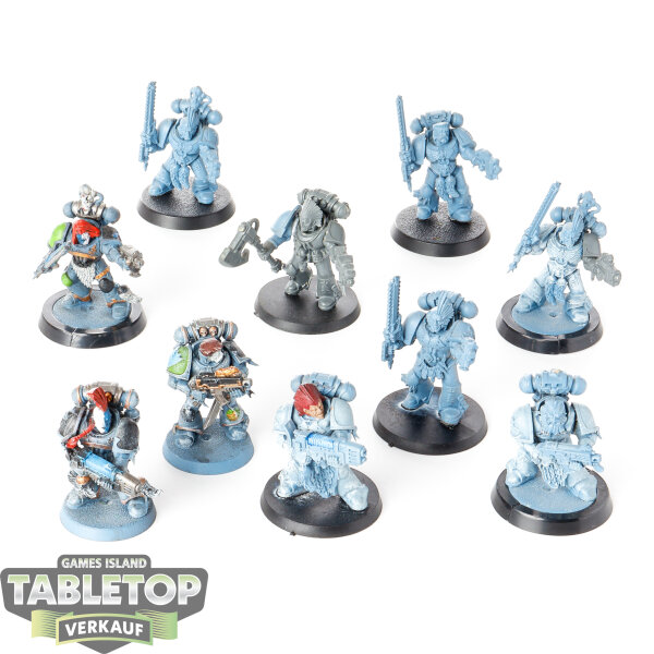Space Wolves - 10 Grey Hunters classic - teilweise bemalt