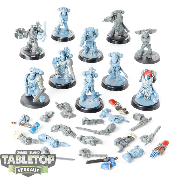 Space Wolves - 10 Grey Hunters classic - teilweise bemalt