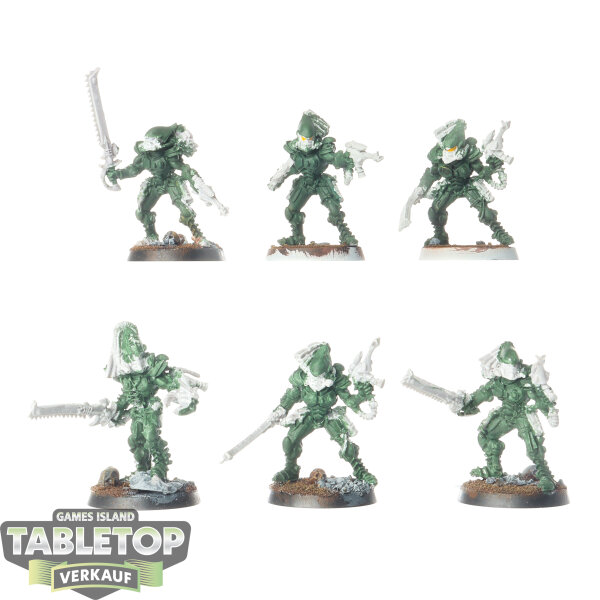 Aeldari - 6 x Striking Scorpions klassisch - teilweise bemalt