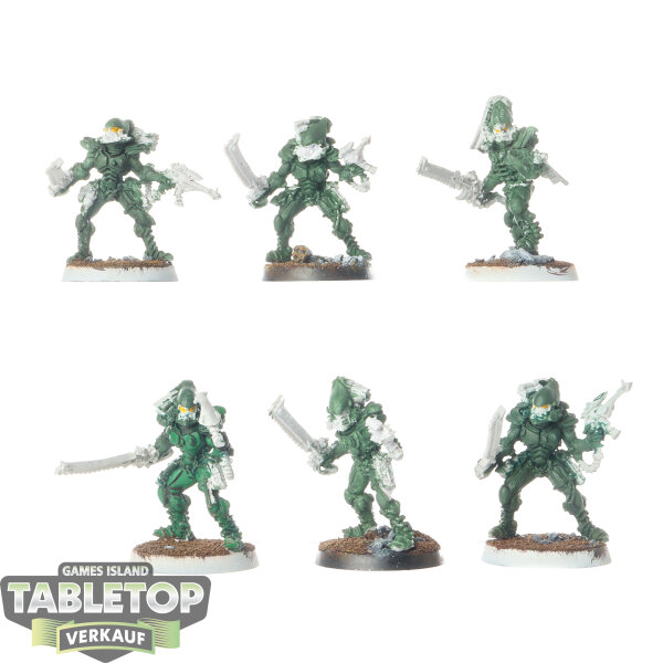 Aeldari - 6 x Striking Scorpions klassisch - teilweise bemalt