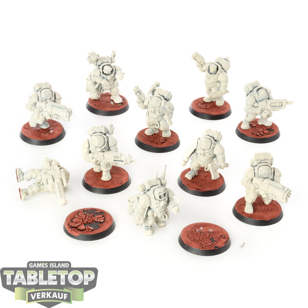 Leagues of Votann - 10 Hearthkyn Warriors - grundiert