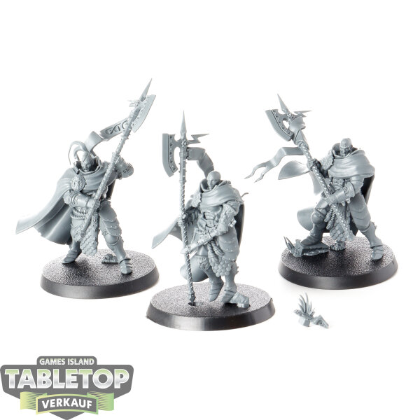 Stormcast Eternals - 3 x Praetors - unbemalt