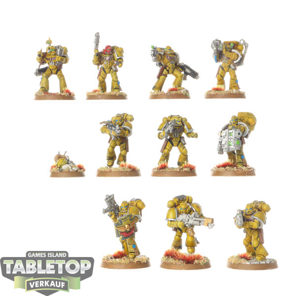 Imperial Fists - 10x Tactical Squad - bemalt