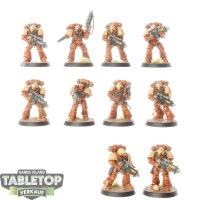 Space Marines - 10 x Intercessor Squad - bemalt