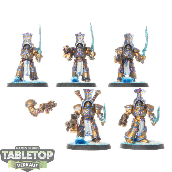 Thousand Sons - 5 x Scarab Occult Terminators - bemalt