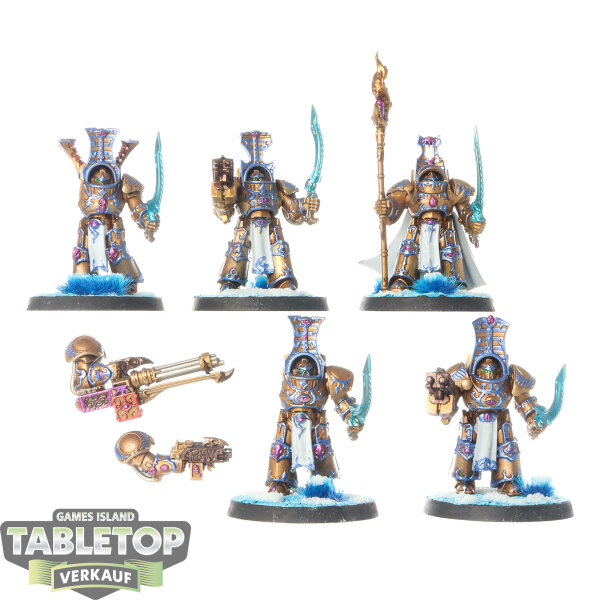 Thousand Sons - 5 x Scarab Occult Terminators - bemalt