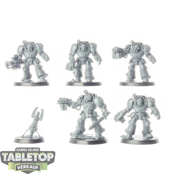 Space Marines - 5 Terminator Squad - unbemalt