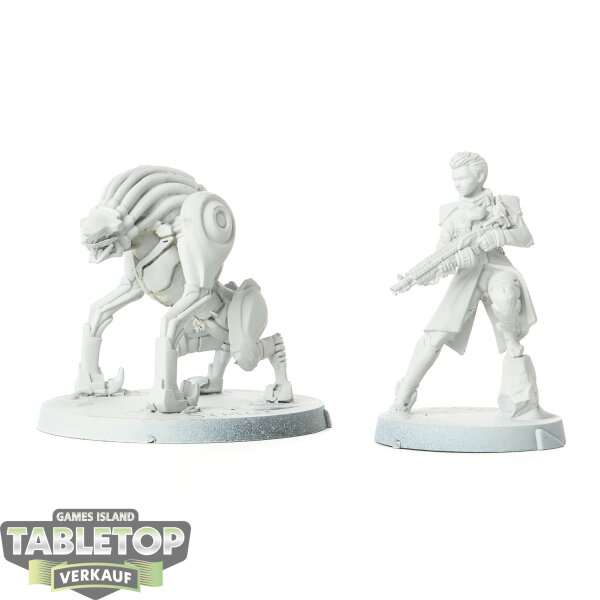 Infinity - 2x Team Sirius - grundiert