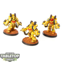 Space Marines - 3 x Aggressor Squad - bemalt
