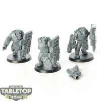 Astra Militarum - 3 Bullgryns - unbemalt
