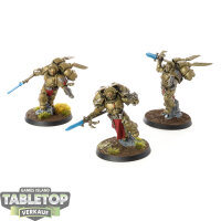Blood Angels - 3x Sanguinary Guard - teilweise bemalt