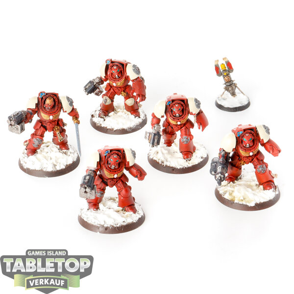 Space Marines - 5x Terminator Squad - bemalt