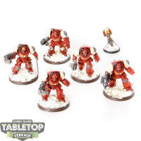 Space Marines - 5x Terminator Squad - bemalt