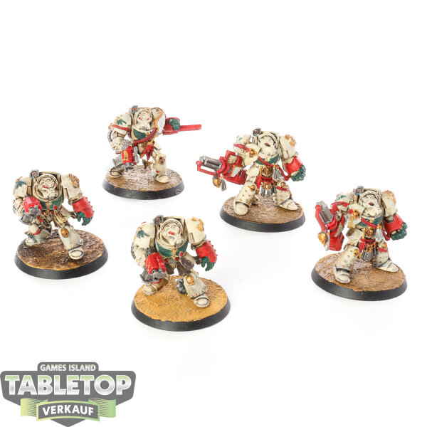 Dark Angels - 5 Deathwing Knights klassisch - bemalt