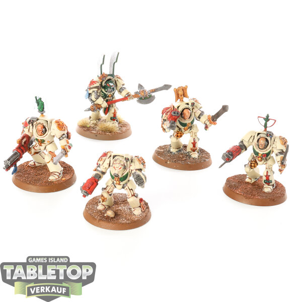Dark Angels - 5 Deathwing Knights klassisch - bemalt