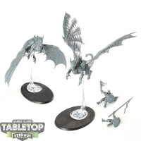 Stormcast Eternals - 2 Knight-Draconis - unbemalt