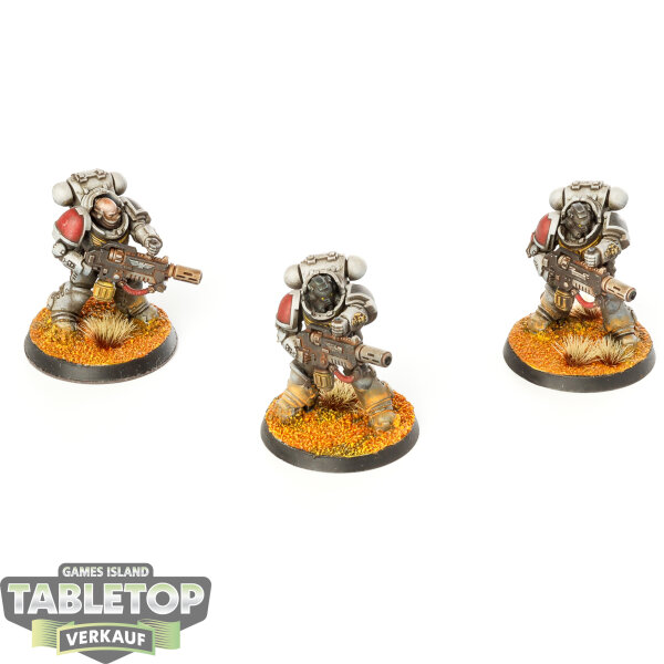 Space Marines - 3x Primaris Eradicators - bemalt