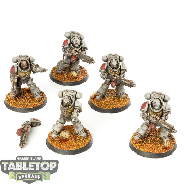 Space Marines - 5x Heavy Intercessor Squad - bemalt