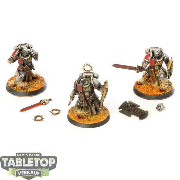 Space Marines - 3x Bladeguard Veteran Squad - bemalt