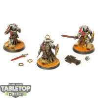 Space Marines - 3x Bladeguard Veteran Squad - bemalt
