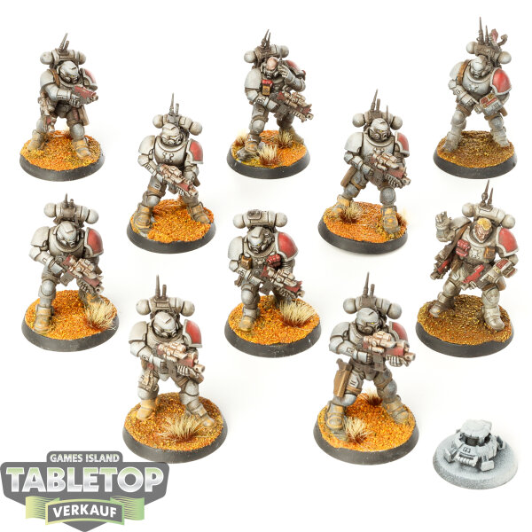 Space Marines - 10x Infiltrator Squad - bemalt
