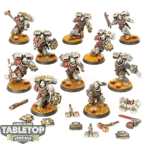 Space Marines - 10x Assault Intercessor Squad - bemalt