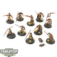 Stormcast Eternals - 10 Vindictors - bemalt