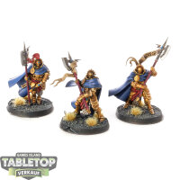 Stormcast Eternals - 3 Praetors - bemalt
