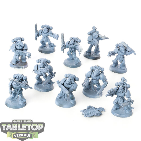 Space Wolves - 10 Grey Hunters klassisch - grundiert