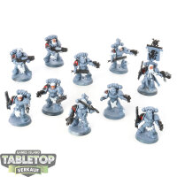 Space Wolves - 10 Grey Hunters klassisch - teilweise bemalt