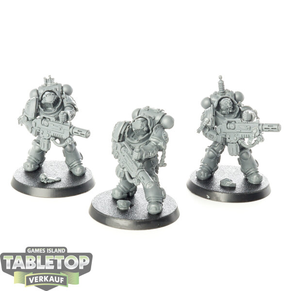 Black Templars - 3x Primaris Eradicators - unbemalt