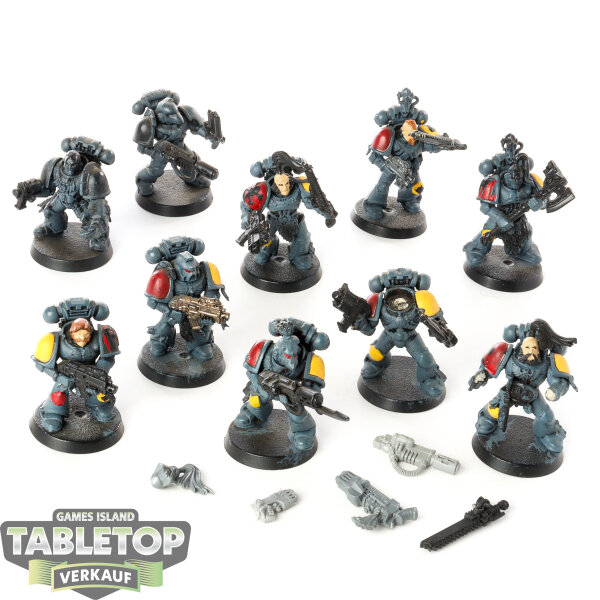 Space Wolves - 10x Grey Hunters - klassisch - teilweise bemalt