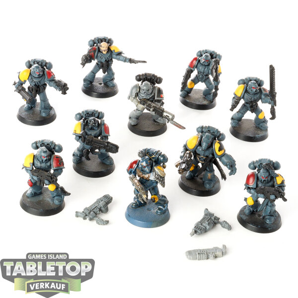 Space Wolves - 10x Grey Hunters - klassisch - teilweise bemalt