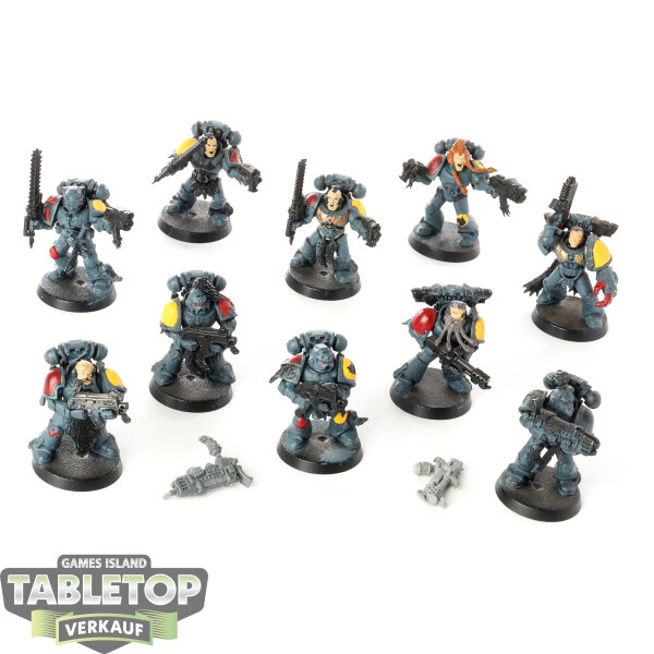 Space Wolves - 10x Grey Hunters - klassisch - teilweise bemalt
