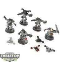 Space Wolves - 5x Sternhammer`s Wulfen Guard/13th Company...