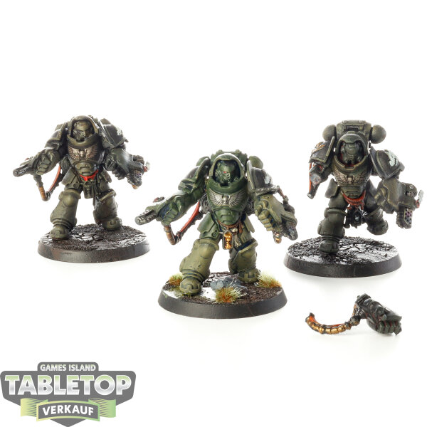 Salamanders - 3 Aggressor Squad - bemalt