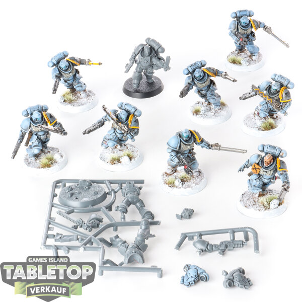 Space Wolves - 10x Assault Intercessor Squad - teilweise gebaut