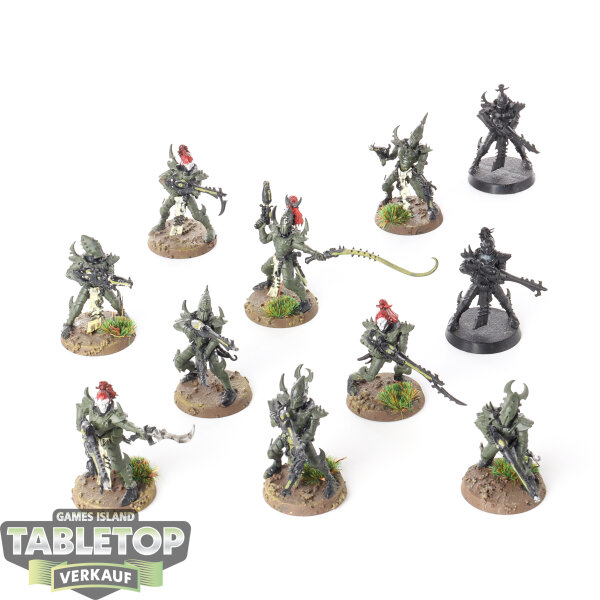 Drukhari - 11 Kabalite Warriors - teilweise bemalt