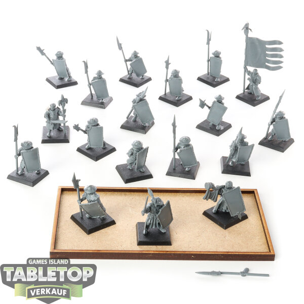 Kingdom of Bretonnia - 18 Men-at-Arms - im Gussrahmen