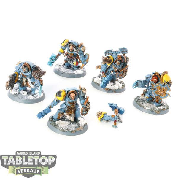 Space Wolves - 5x Wolf Guard Terminators klassisch - bemalt