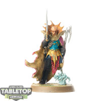 Dark Elves - Fleetmaster - bemalt