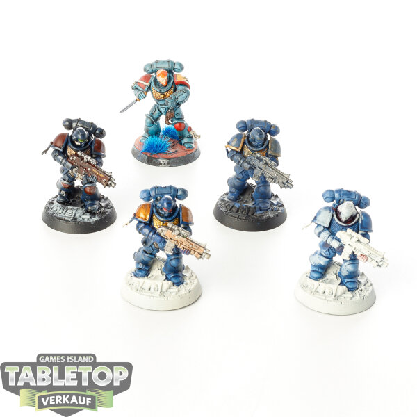 Space Wolves - 5x Intercessor Squad - teilweise bemalt