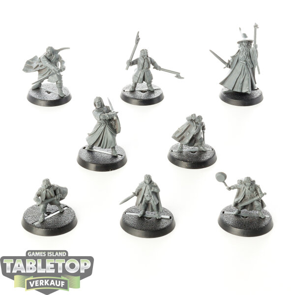 HdR Figuren - Gut - 8x Fellowship Of The Ring - unbemalt
