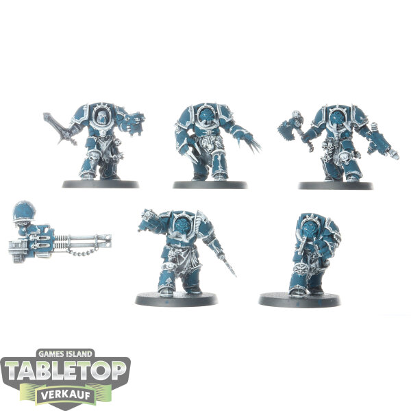 Chaos Space Marines - 5 Chaos Terminator Squad - teilweise bemalt