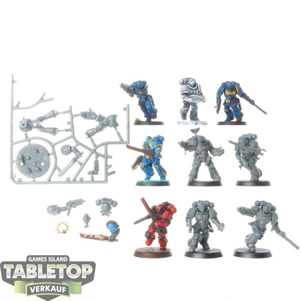Space Marines - 10 Assault Intercessor Squad - teilweise gebaut