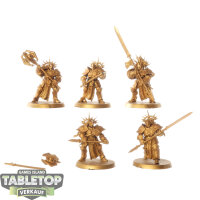 Stormcast Eternals - 5x Protectors - grundiert