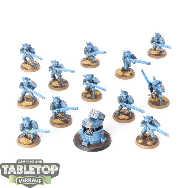 Tau Empire - 12 Fire Warriors Strike Team - bemalt