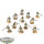 Tau Empire - 12 Kroot Carnivores classic - bemalt